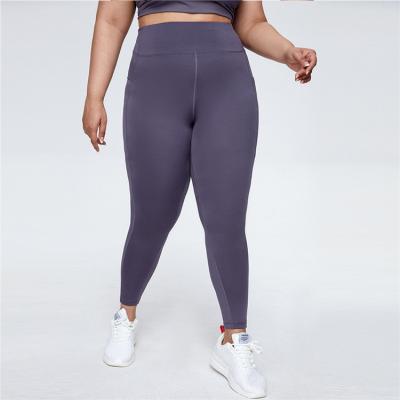 China QUICK DRY QUICK DRY Women Plus Size Fitness Pants High Elastic Waist Sports Yoga Gaiters Hip-lifting Pants for sale