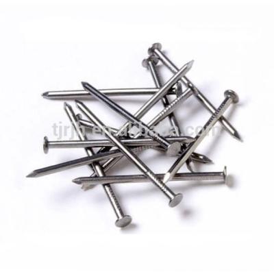 China Iron 304 316 Stainless / Common Iron Steel Wire Nails for sale