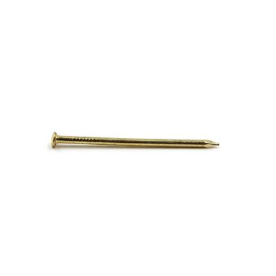 China Iron Factory Professional Supply Various Sizes Screw Coil Special Nails for sale