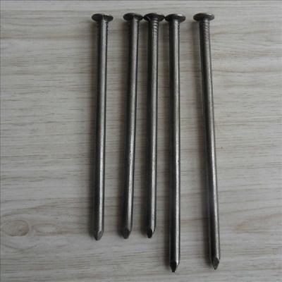 China Flat Stainless/Common Wire Nail for sale