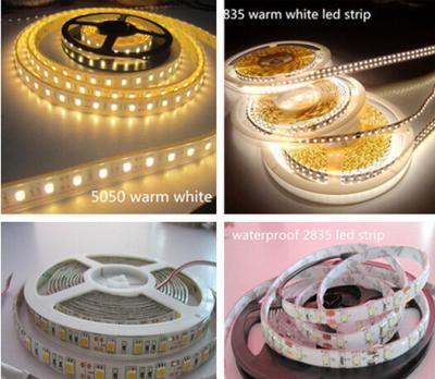 China Anenerge 24v 12v LED strip UL Epistar 3528s 2835s LED strip lights Light Source for shops stores for sale