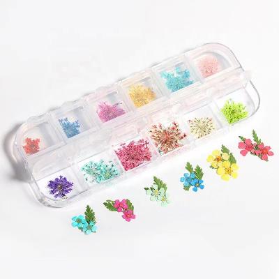 China Beautiful/High Quality Nail Art Flower Jewelry Starry Dried Flowers 12 Boxes Nail Art Manicure Nail Art Decorations Natural Floral Leaf 3D Stickers for sale