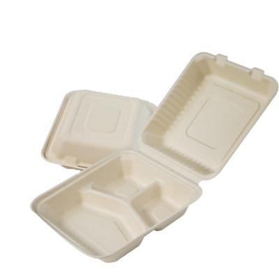 China Fast Food Box Bamboo 100% Bagasse Plastic Food Box Bread Lunch Heart Candle Logo Box Recyclable Natural Disposable Cooler for sale