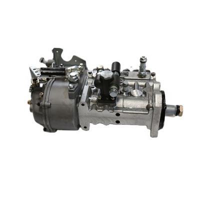 China Machinery Repair Shops WD10 WP10 WD615 Engine Fuel Injection Pump 612601080575 for sale