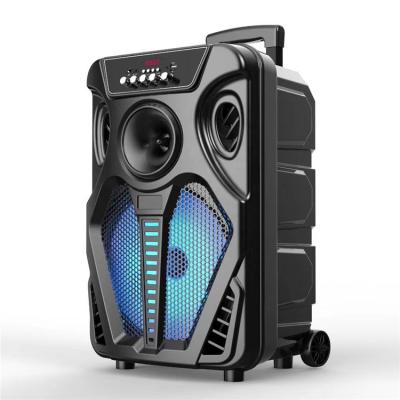 China Large Trolley Rechargeable Battery BT To Phone Function HT-W12 12 Inch Party Active Outdoor Speakers for sale