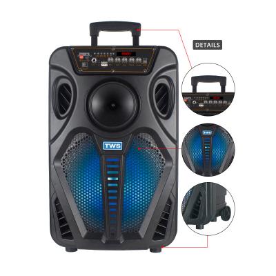 China 12 Inch Trolley Speaker Factory Karaoke BT DJ Wireless Indoor Speaker With Phone Function HT-W12 for sale