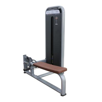 China Commercial OEM Accept Pull Down Low Row Gym Fitness Seated Low Pull Trainer for sale