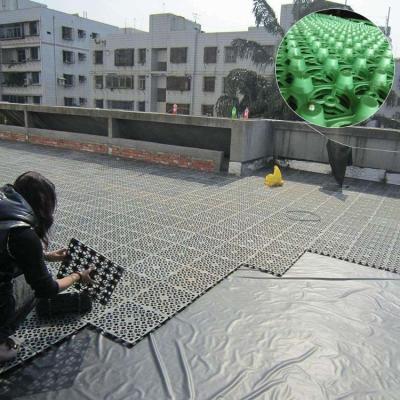 China HDPE plástico agua de retención de desagüe tablero de garaje techo jardín verde venta en el mejor en venta