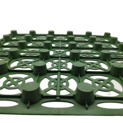 China Green Roof Water Storage and Drainage Cell Mat Board for Conservancy in Traditional Design for sale