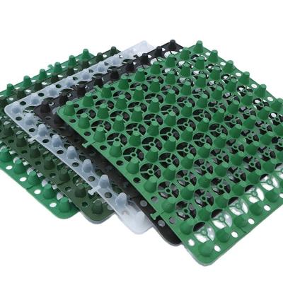 China Moderno diseño Negro Verde HDPE Impounding Drainage Cell Mat Board para el sistema de drenaje en venta