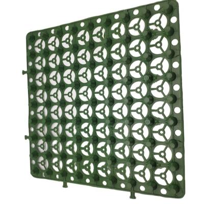 China Protect Turf Product Feature Ecofriendly HDPE Impounding Drainage Cell Mat Board for sale