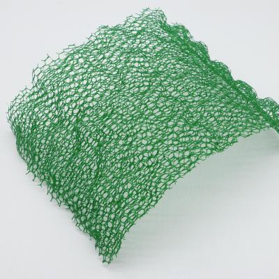 China Modern Design 3D Geomat The Best Choice for Slope Protection and Grass Seed Growth for sale