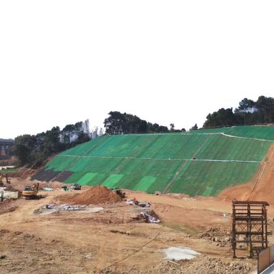 China Online Technical Support 3D Erosion Control Geonet for Road Mountain Slope Protection for sale