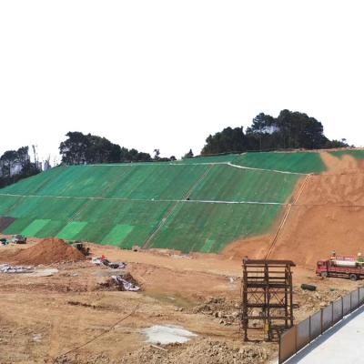 China Reinforced Green 3D Geomat for Slope Protection Onsite Training Offered for sale