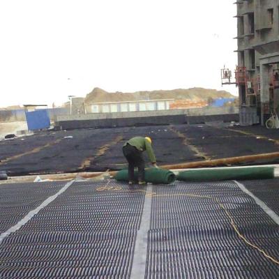 China Moderne HDPE-Drainageplatte für künstliches Gras-Drainage-System zu verkaufen