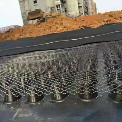 China Driveway Drainage Made in Plastic Drainage Board for Greening Municipal Construction for sale