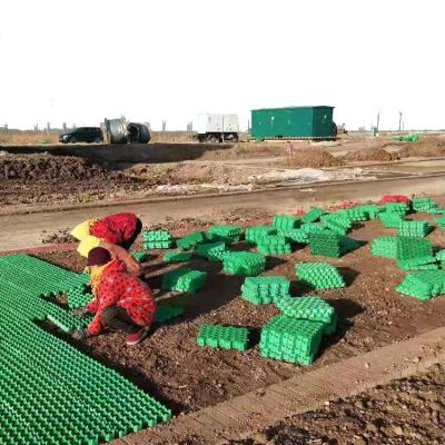 China Pavimentadores de hierba de 500 mm de longitud para estacionamiento y jardín Material HDPE respetuoso con el medio ambiente en venta