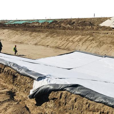 China s Stadtwasserschutzmarkt Geosynthetische Tonfolie für wasserdichte Projekte zu verkaufen