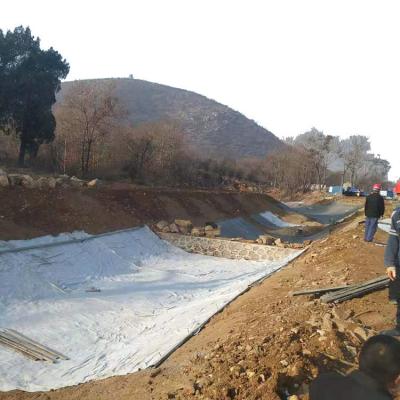 China Wasserdichtes geosynthetisches Ton-Liner, hergestellt für die Wasserpflege in Kommunen zu verkaufen