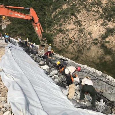 China Estilo de Design Industrial Bi-direcional Geogrid de Plástico para Melhoria da Fundação da Estrada à venda