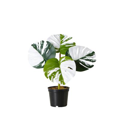 China Wholesale Monstera Deliciosa Artificial Plant Bonsai Tree Monstera Plant Decoration Indoor Artificial Tree 30cm for sale