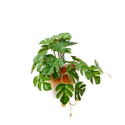 China Home Office Greenery Monstera Plants Office Decoration Potted Artificial Plastic Plants Small Size for sale