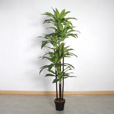 China Decoration best selling artificial indoor decorative dracaena simulation dragon's blood tree 180cm bonsai for sale