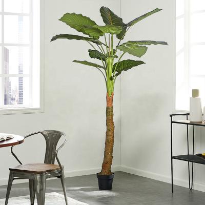 China Customized Realistic PVC Hotel Decor Bonsai Alocasia Macrorrhizos Artificial Tree 2.1m for sale