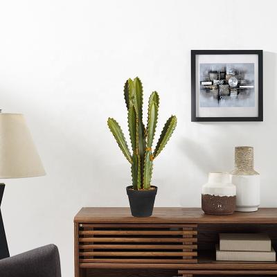 China Classic PU Design Beat Sell Almost Natural Artificial Plants Artificial Cactus For Home Decor for sale