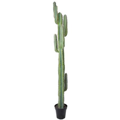 China PEVC 2.1m Cactus Desert Plant Artificial Succulent Bonsai for sale