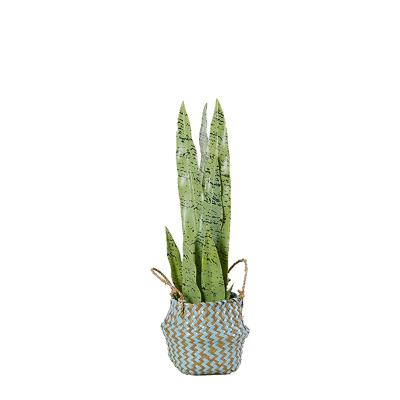 China Foldable High Quality Woven Handmade Woven Plant Plankton Basket Plant Pot Rattan Vegetable Plankton Basket for sale