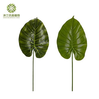 China Wholesale Decoration Leaves 60cm Artificial Alocasia Macrorrhizos Leaves For Garden Decoration for sale