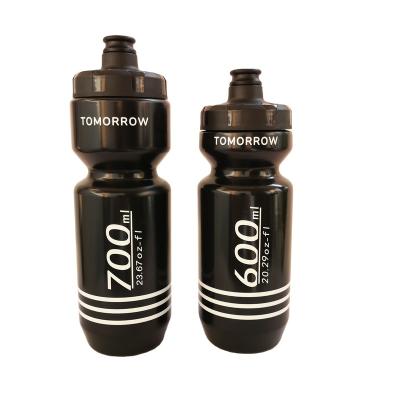 China Newest Sustainable BPA Pull Top Lid 600ML 700ml Free Sports Drink Plastic Water Bottle With Custom Logo for sale