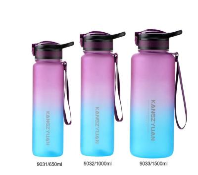 China Sustainable BPA FREE Factory Direct Selling 650/1000/1500ml Tritan Sports Bottle With Silicone Sipper Straw for sale