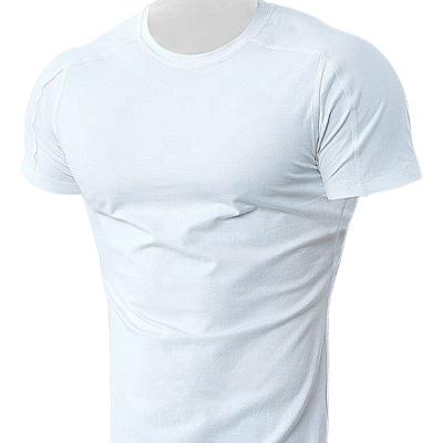 China Anti-Wrinkle Men's Gym Fitness Fashion Causal Oversized T-shirt White T-shirt Muscle Types Loose Bodybuilding T-shirt for sale