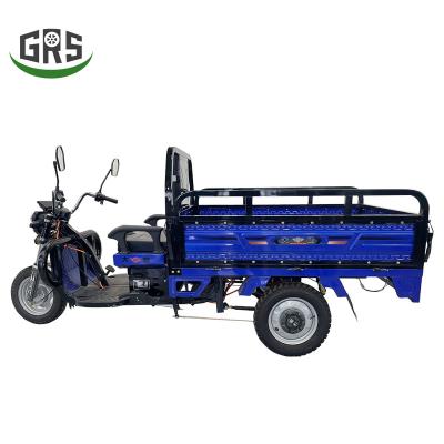 China Carry Cargo Factory Direct Sales Powerful Capacity Electric Climbing Electric Tricycle for sale