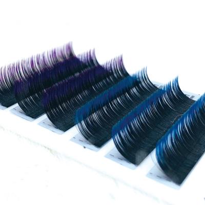 China Free Shipping Good Quality Affordable Eyelash Extensions Factory Pestanas Factory Curl Dual Density Ombre Color Blue Purple Etelashes for sale