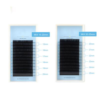 China Premade 3D/5D/6D/8D/10D/12D/14D Fan Lash Russian Volume Fan Eyelash Good Quality Tiny Pointed Extensions Base Rod Pointed Narrow Eyelashes for sale