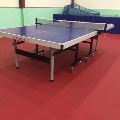 China Foldable Simple Foldable Ping Pong Table For Training for sale