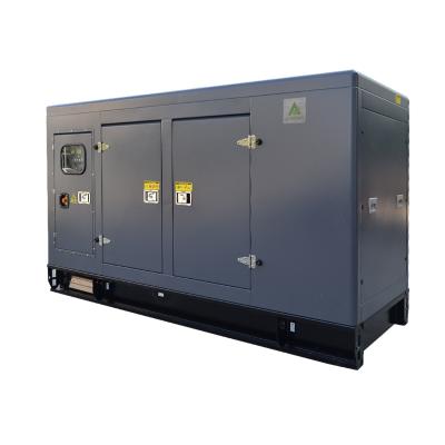 China 100kw 200kw Biogas Natural Gas Standby Generator AGP100 for sale