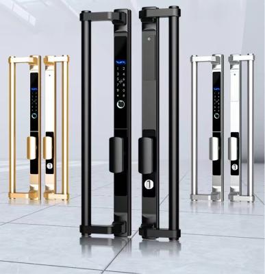 China Lobby door Outdoor sliding door Broken bridge aluminum alloy door fingerprint code lock Waterproof glass large handle stainless steel smart lock for sale