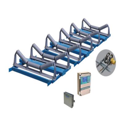 China Electronic Belt Conveyor Scale For Gold Recovery Plant 1~2000 Tons Per Hour for sale