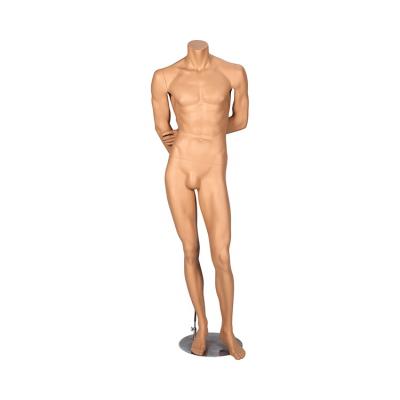 China Original Factory Maternity Mannequins Price Cheap Naked Handsome Male Model for sale