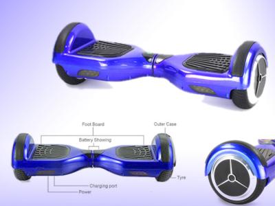 Chine Individu bleu de véhicule électrique de roue de la couleur deux équilibré pour l'amusement de parc à vendre