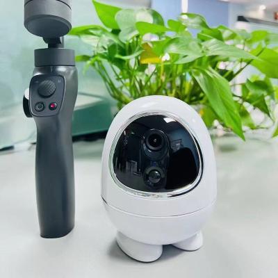 China Dome Camera New Product Night Vision Baby Monitor Camera Hd 1080p Pan Tilt Ptz Wireless Wifi IP Camera for sale