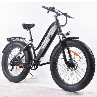 China Fat Bike 1000w 750W/electric electric cyclist aluminum alloy mountain bike/mountain cyclist 29 for sale