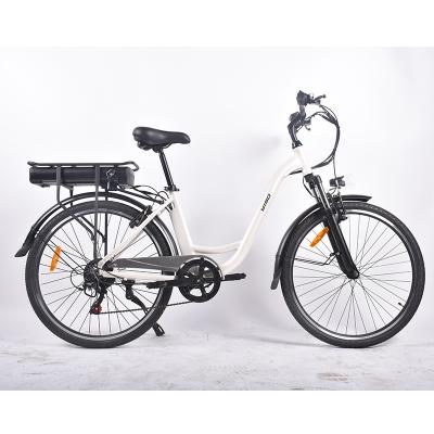 China Aluminum Alloy Water Pedal Bike Equipment 750W 36V/13AH City Electric Bike Wholesale Electric Bike for sale