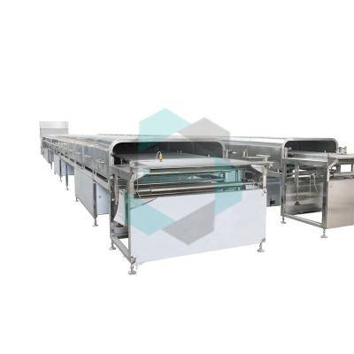 China Snack Factory Cake Pie Chocolate Enrobing Machine Egg Roll Enrobing Machine for sale