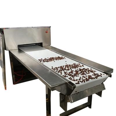 China Snack Factory Customized High Capacity Automatic Chocolate Molding Line Tempering Machine for sale