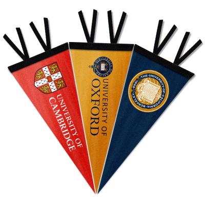 China Health Care Institutes Customized Print Mockup Free Vintage Medieval Sublimation Hanging Ucla College College School Felt Pennant Flag Banner for sale